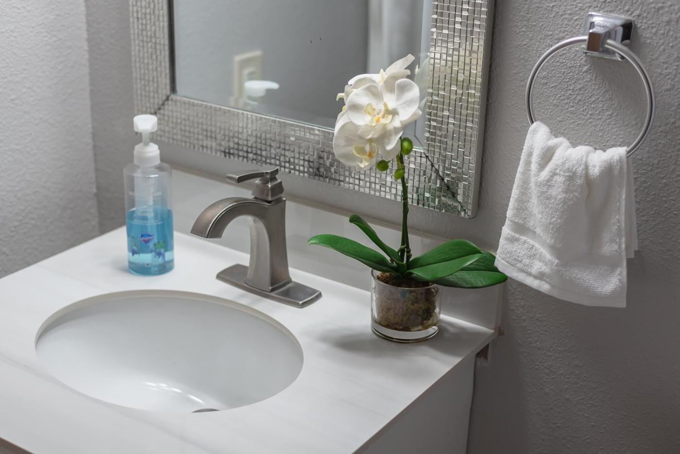 Beautiful Apartment At The Botanical Gardens #1 샌안토니오 외부 사진