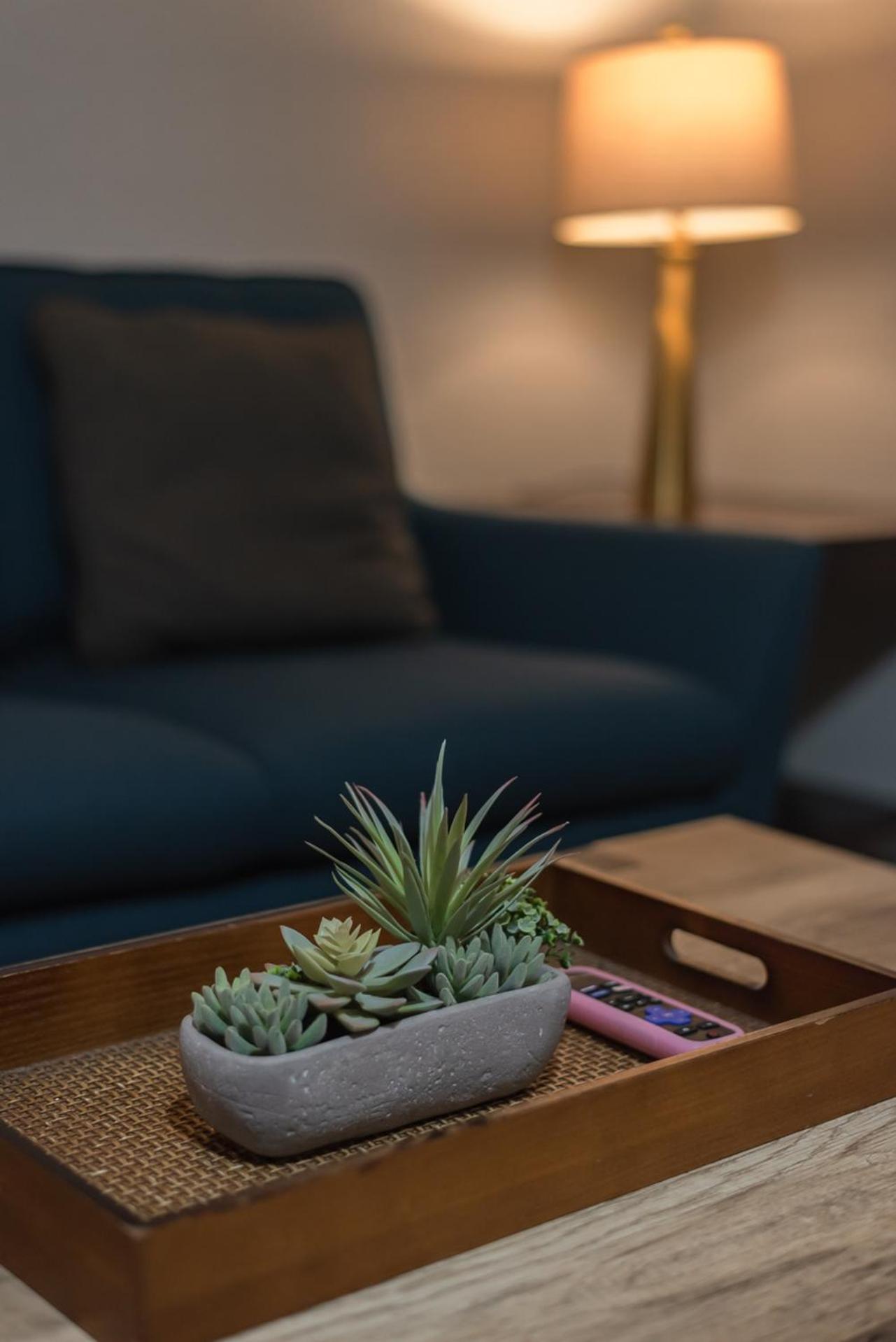 Beautiful Apartment At The Botanical Gardens #1 샌안토니오 외부 사진